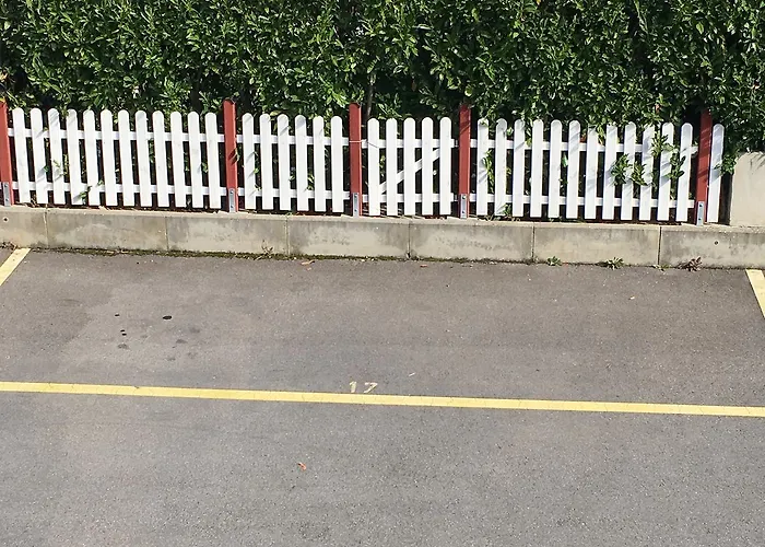 Kelly ローザンヌ