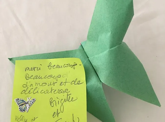 ホームステイ Kelly